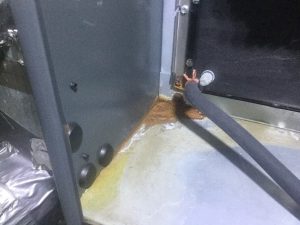A condensate leak may be destroying your furnace